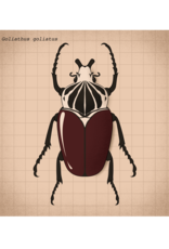 "Goliathus Goliatus" print by Hays DeWitt