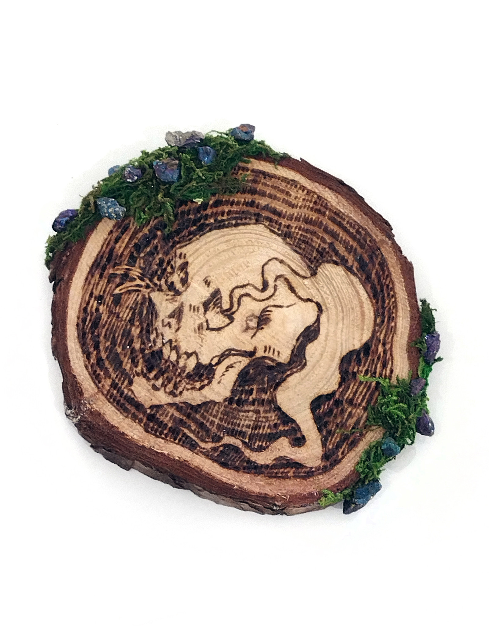 "Skull" wood burned plaque with moss additions by Skellulite