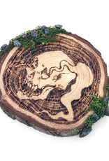 "Skull" wood burned plaque with moss additions by Skellulite