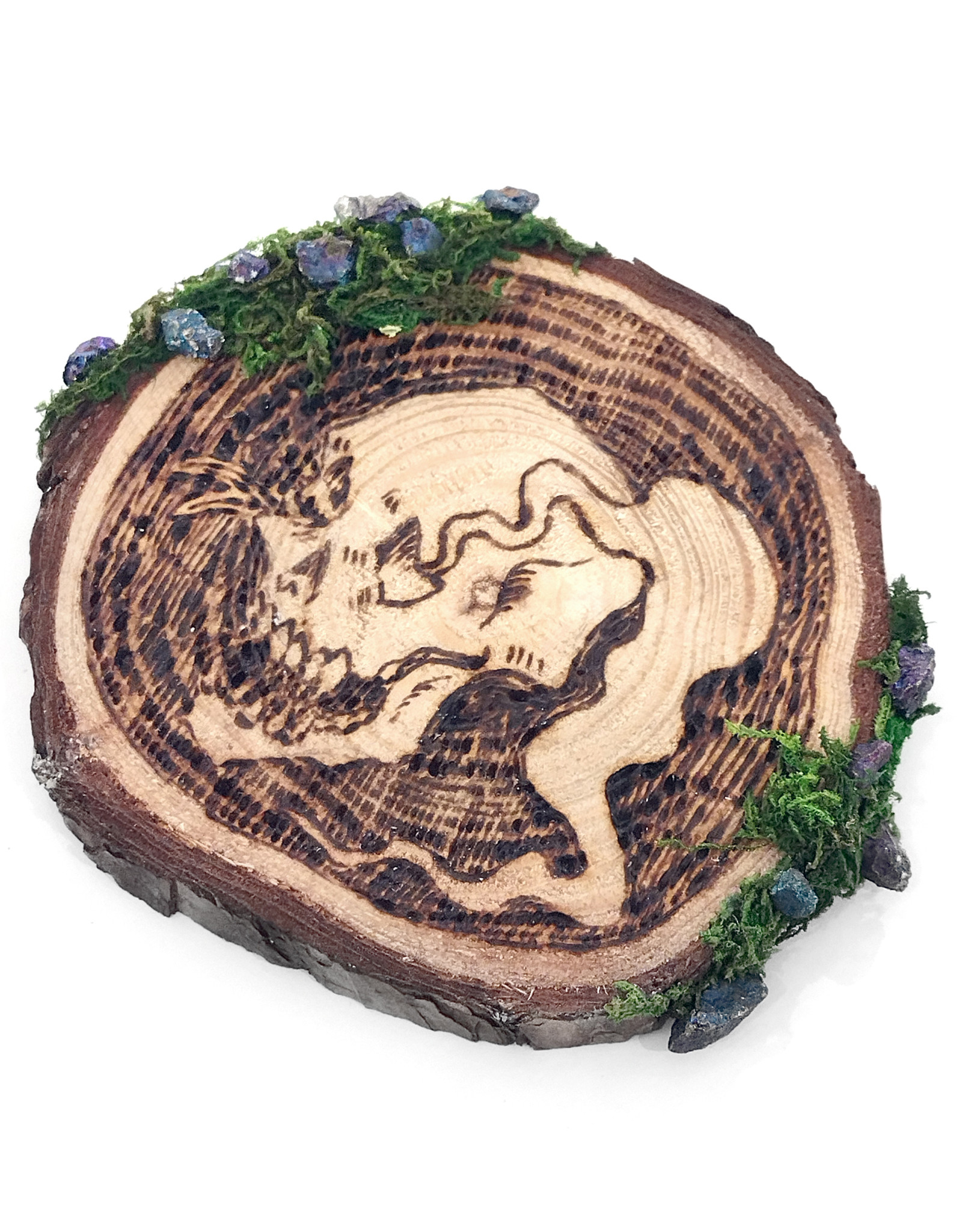 "Skull" wood burned plaque with moss additions by Skellulite