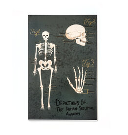 Skeletal Anatomy print by Cora Beach