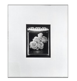 "Roses T55" silver gelatin print by Ben Lurie