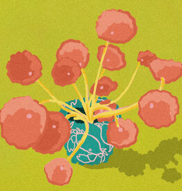 "mini crab plant" digital print by newgrowthart