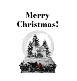 AIGA Columbia Merry Christmas Snow Globe Holiday Card by AIGA Columbia