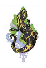 Salamander vinyl sticker by Adrian Riedner