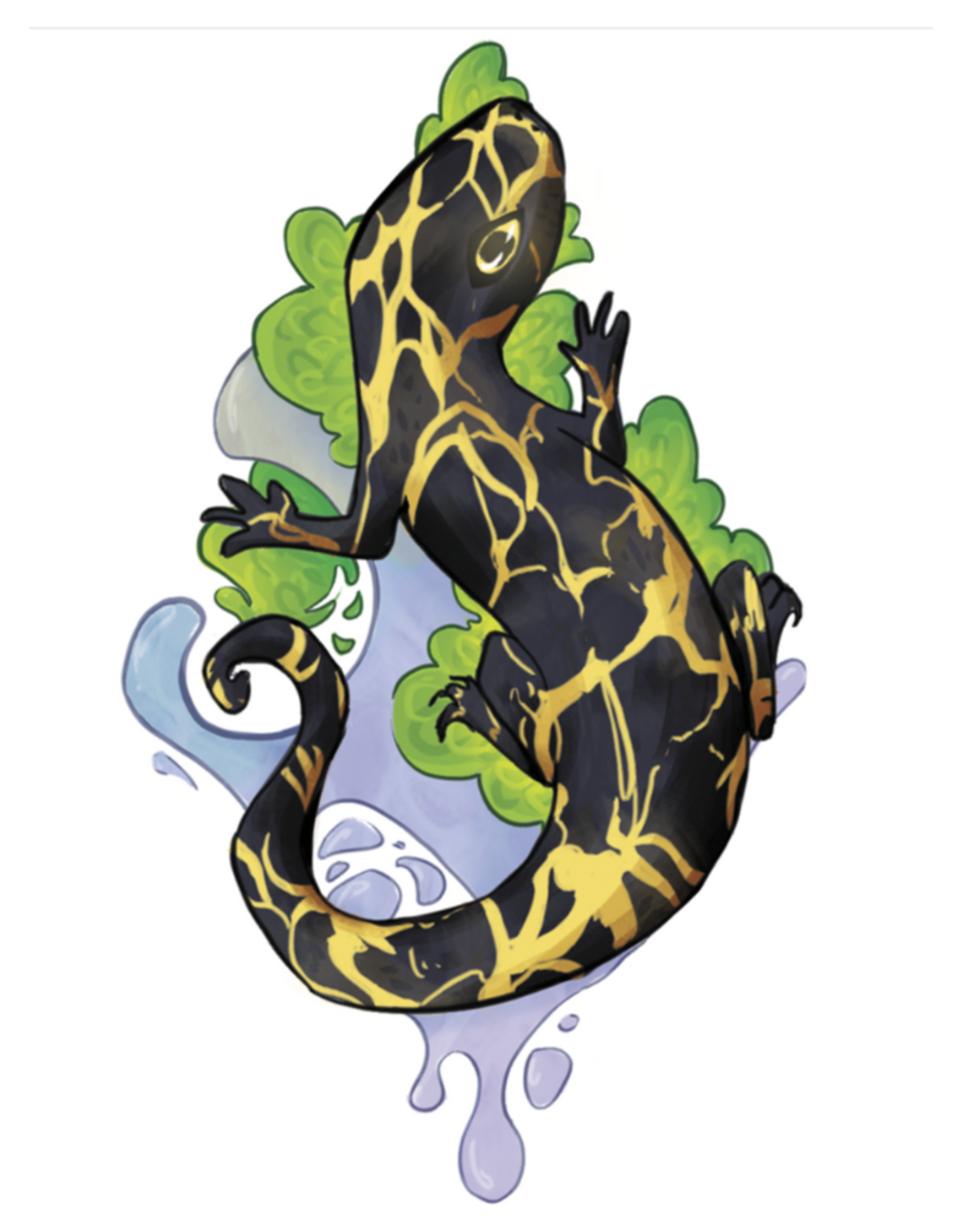 Salamander vinyl sticker by Adrian Riedner