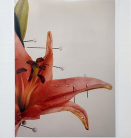 Yearning in Bloom by Mary Jordan