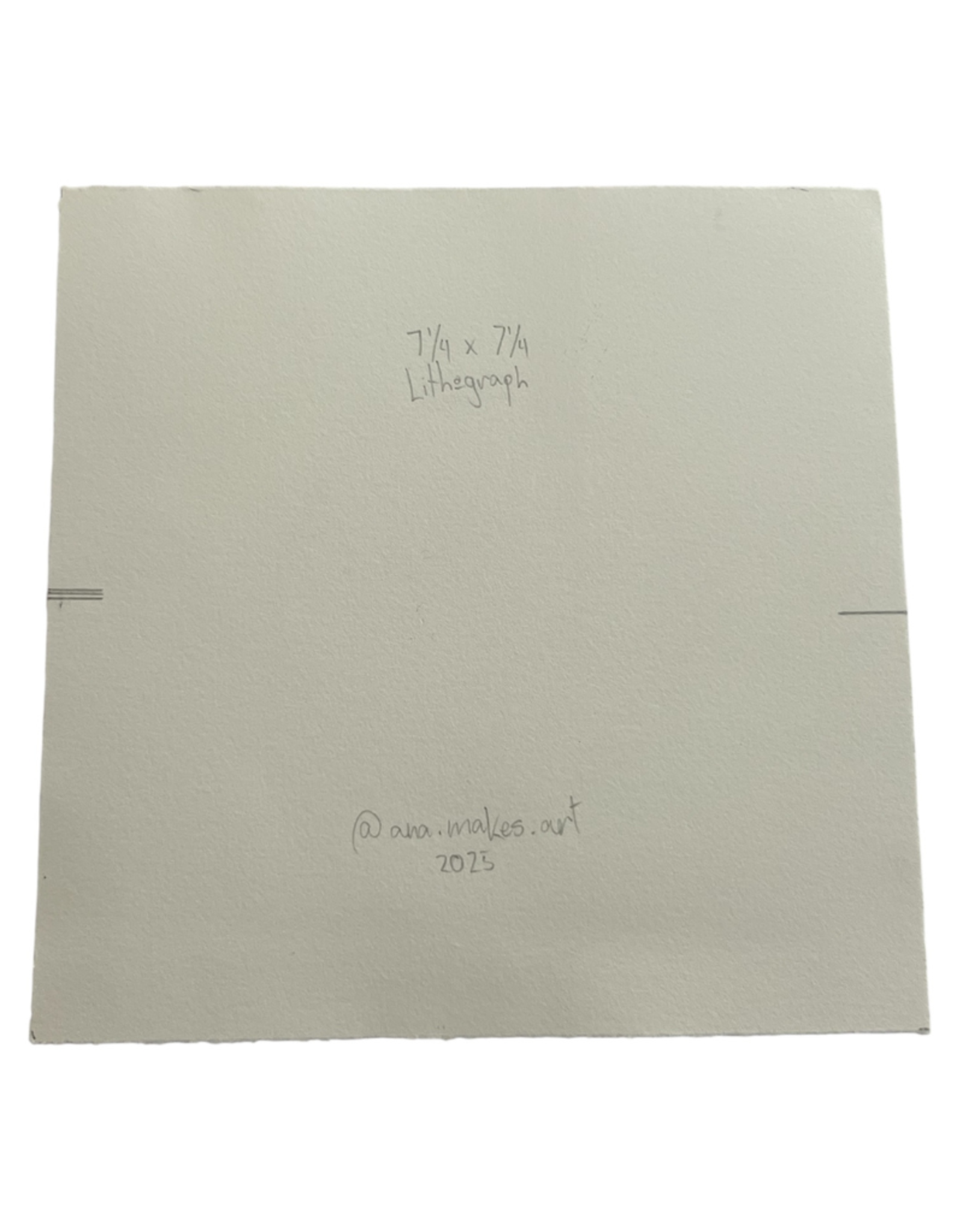 "Polly's Emblem" Lithograph (unframed) by Ana Lara