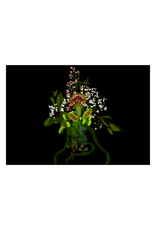 NANA Plant sticker by NANA