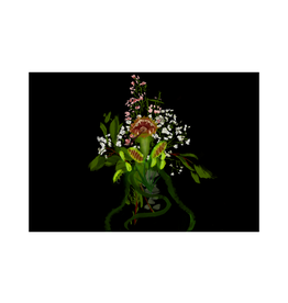 NANA Plant sticker by NANA