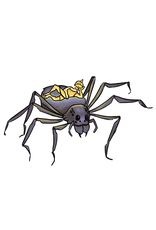 Buddha Spider sticker by Matt Rupp