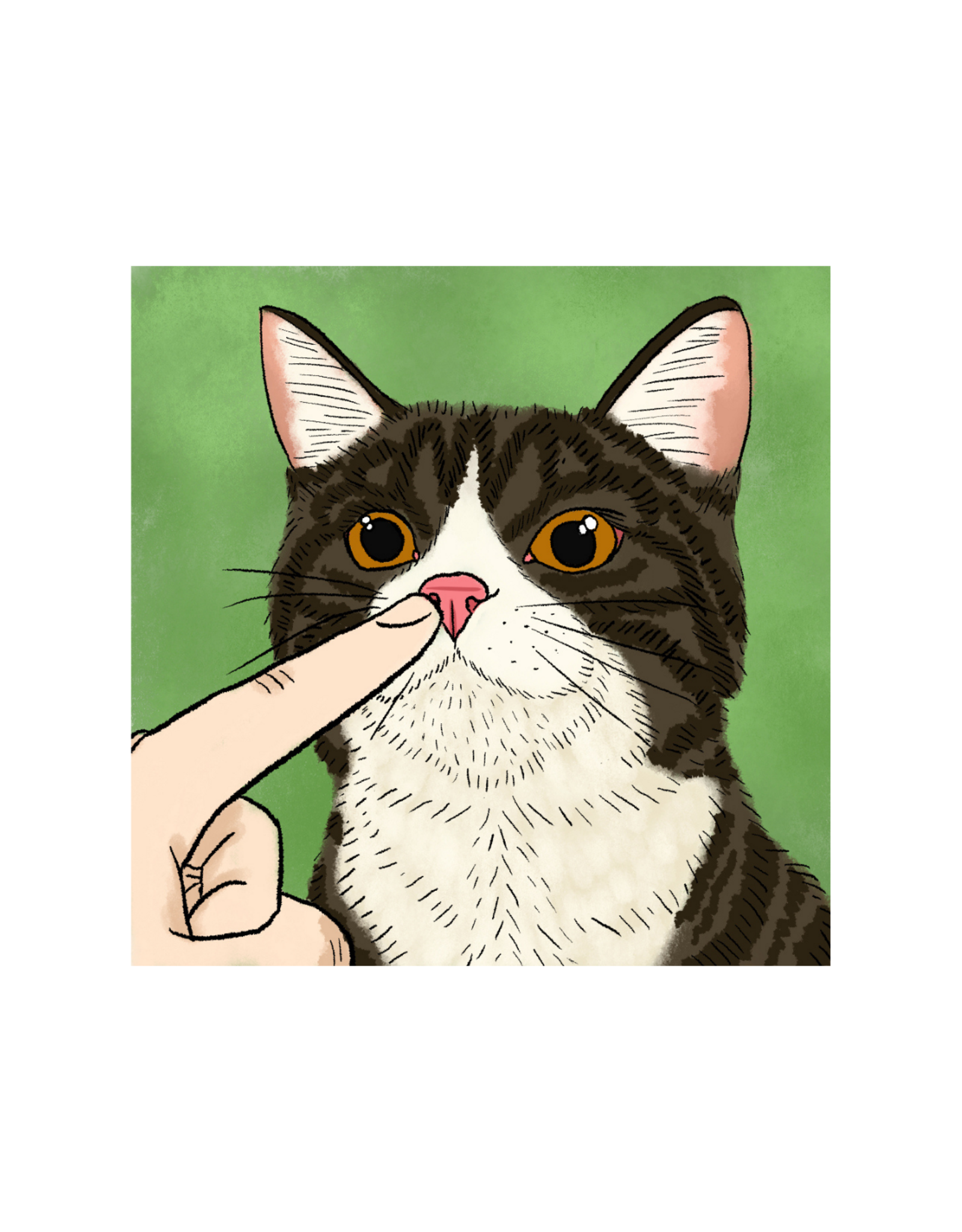 Boop The Tabby Cat by zZKassFrZz