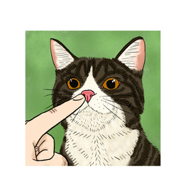 Boop The Tabby Cat by zZKassFrZz