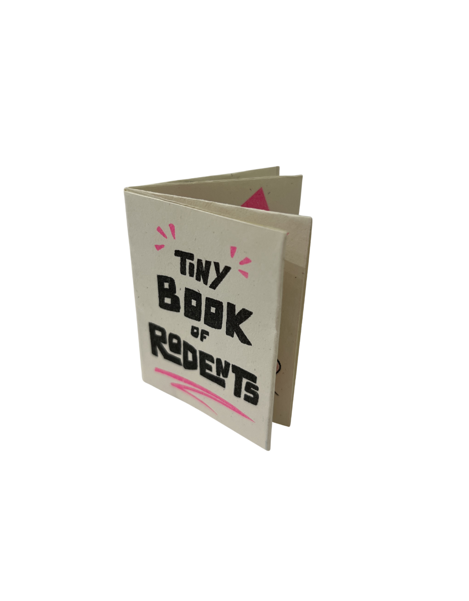 Tiny Book Of Rodents by Angela Kalish