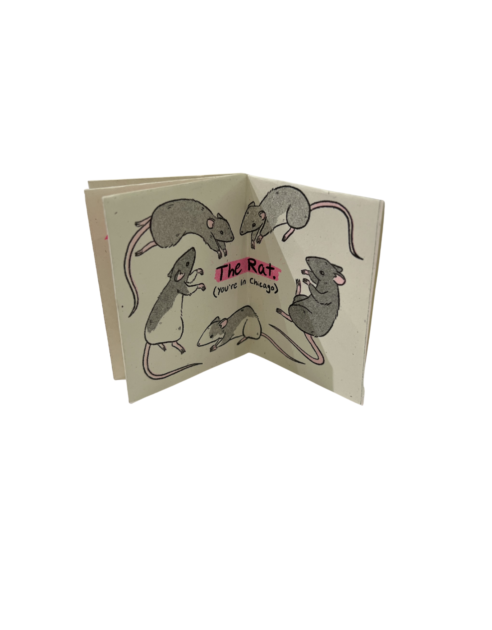 Tiny Book Of Rodents by Angela Kalish