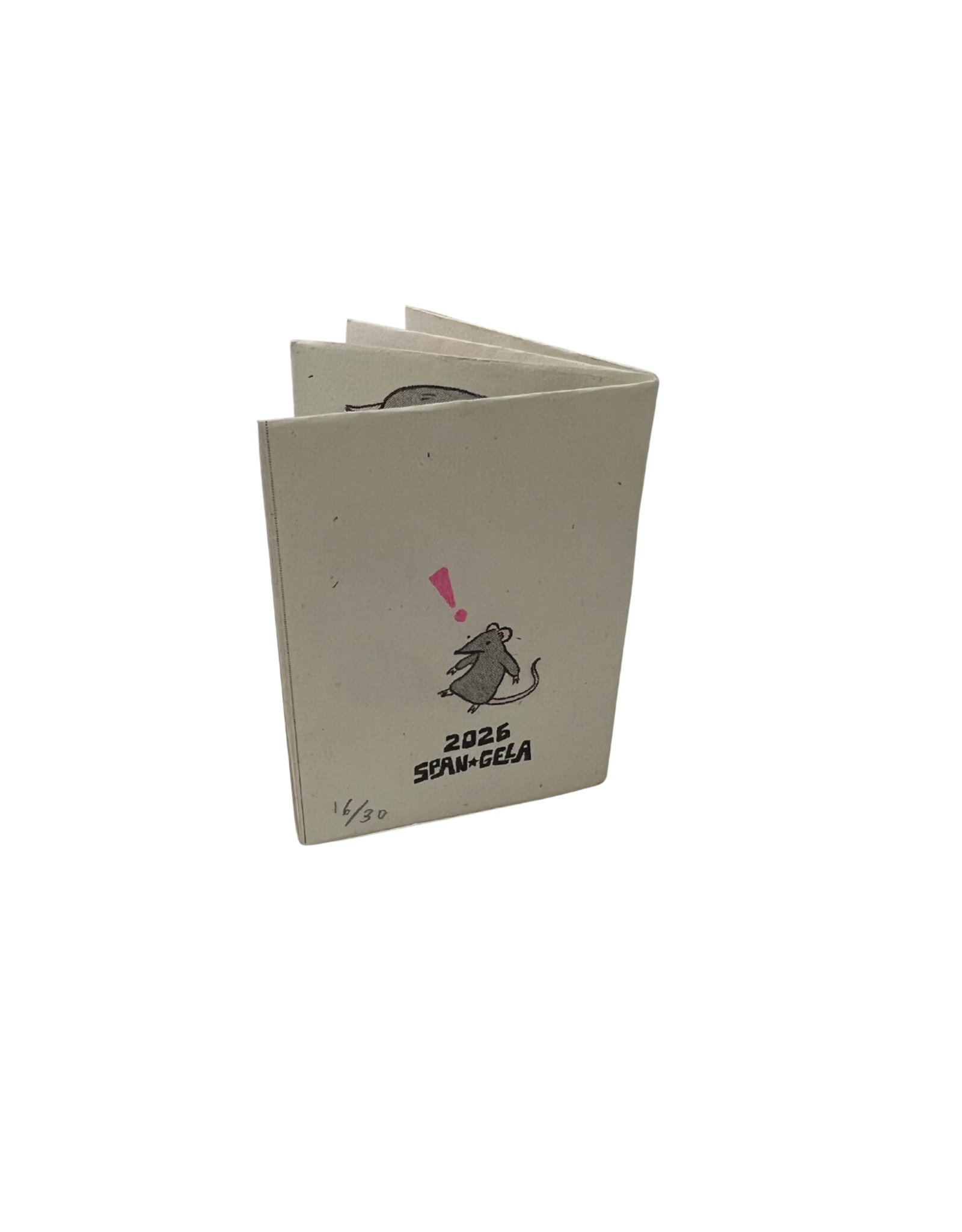 Tiny Book Of Rodents by Angela Kalish