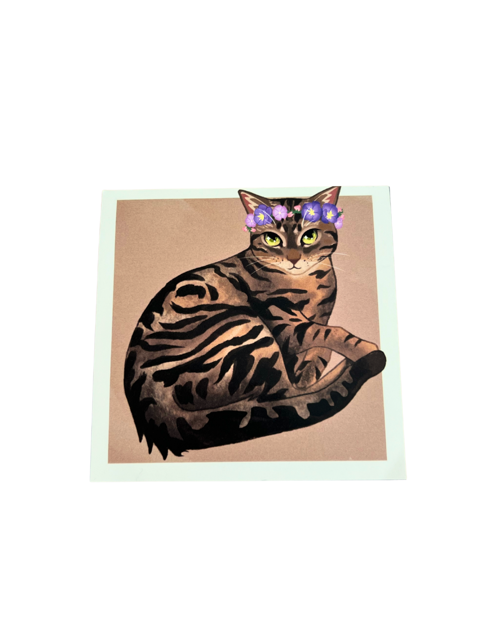 Mocha the Cat by Isabelle Designss