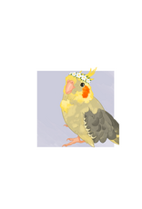 Coco the Cockatiel by Isabelle Designss