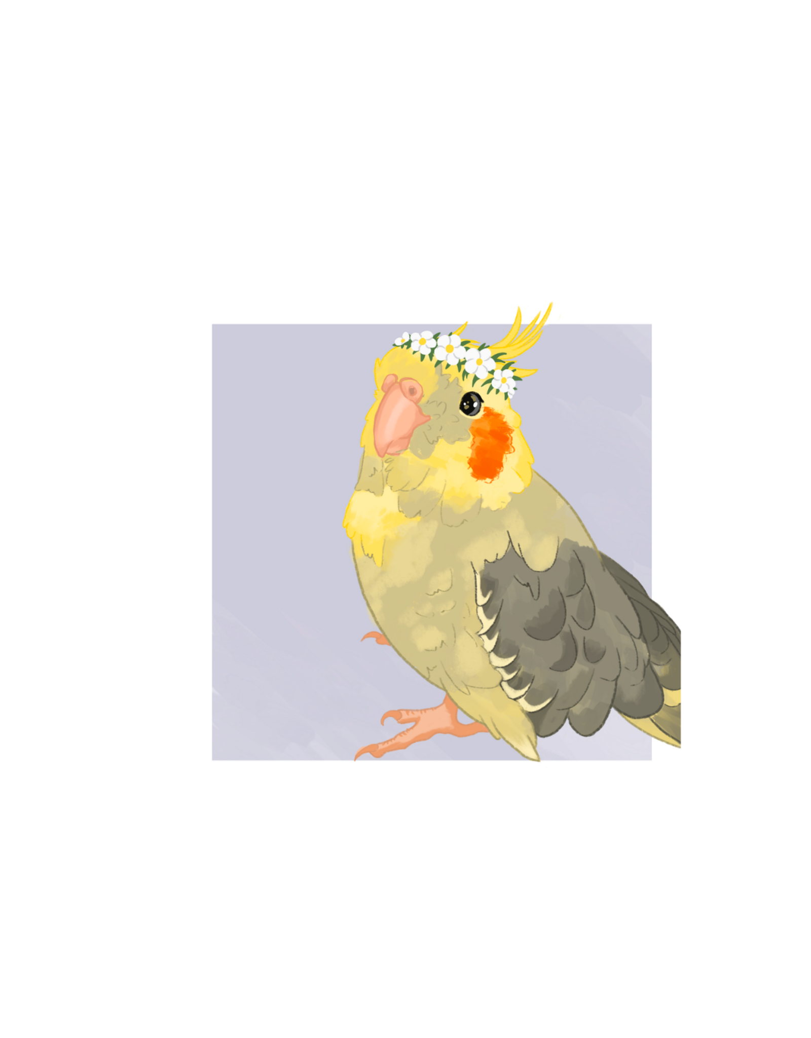 Coco the Cockatiel by Isabelle Designss