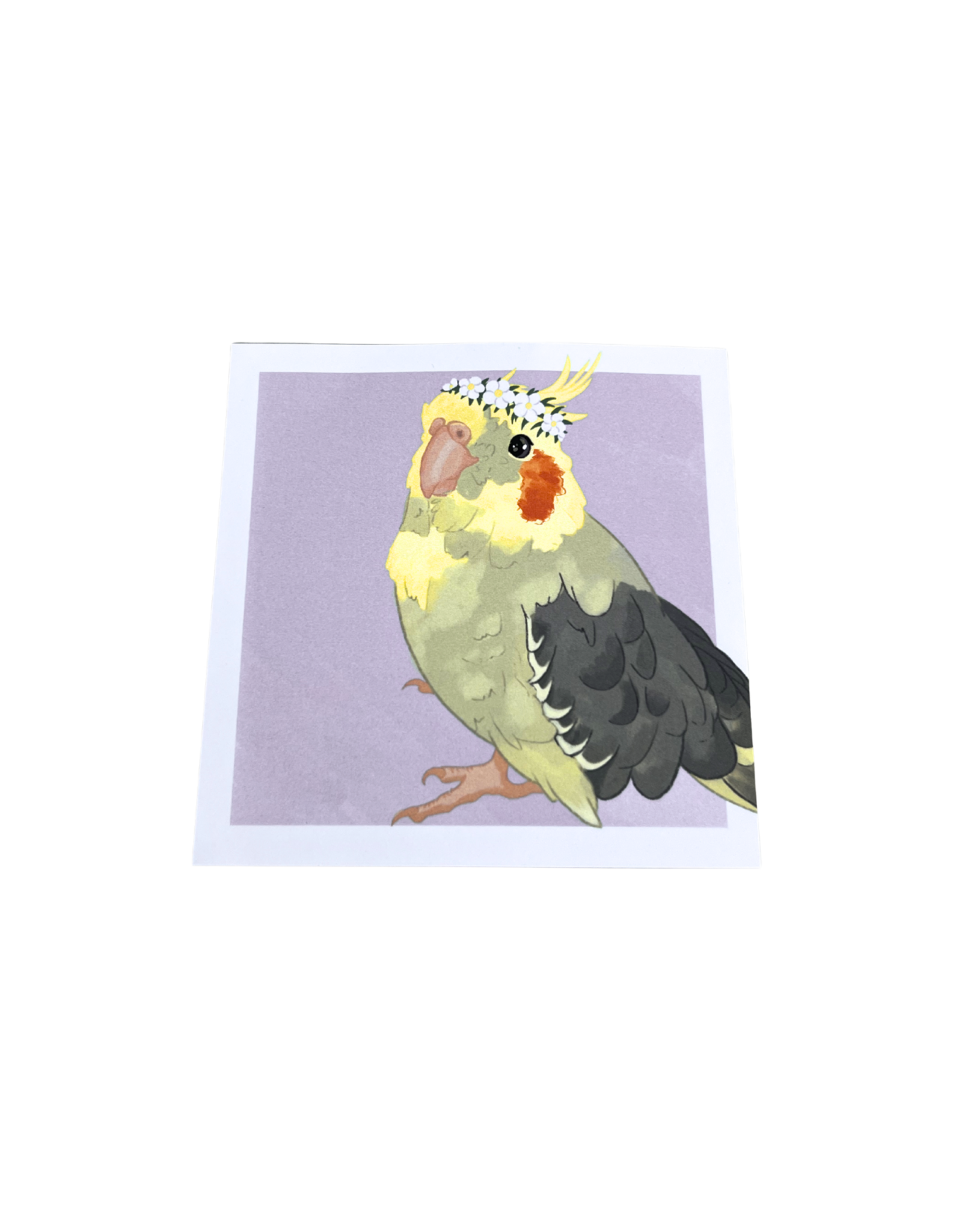 Coco the Cockatiel by Isabelle Designss
