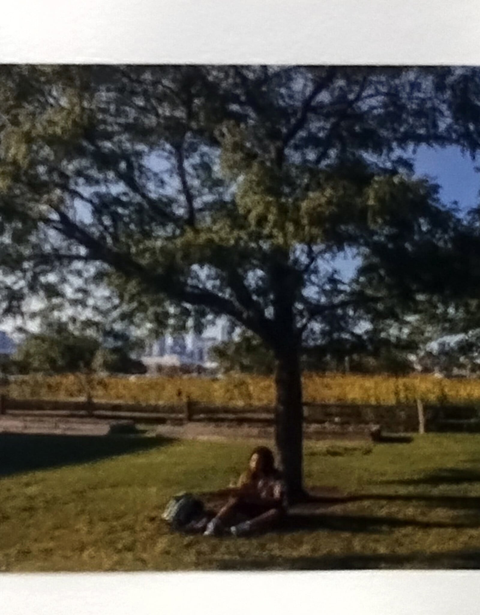 "Comfort - Ken under a tree" by Alx Denise