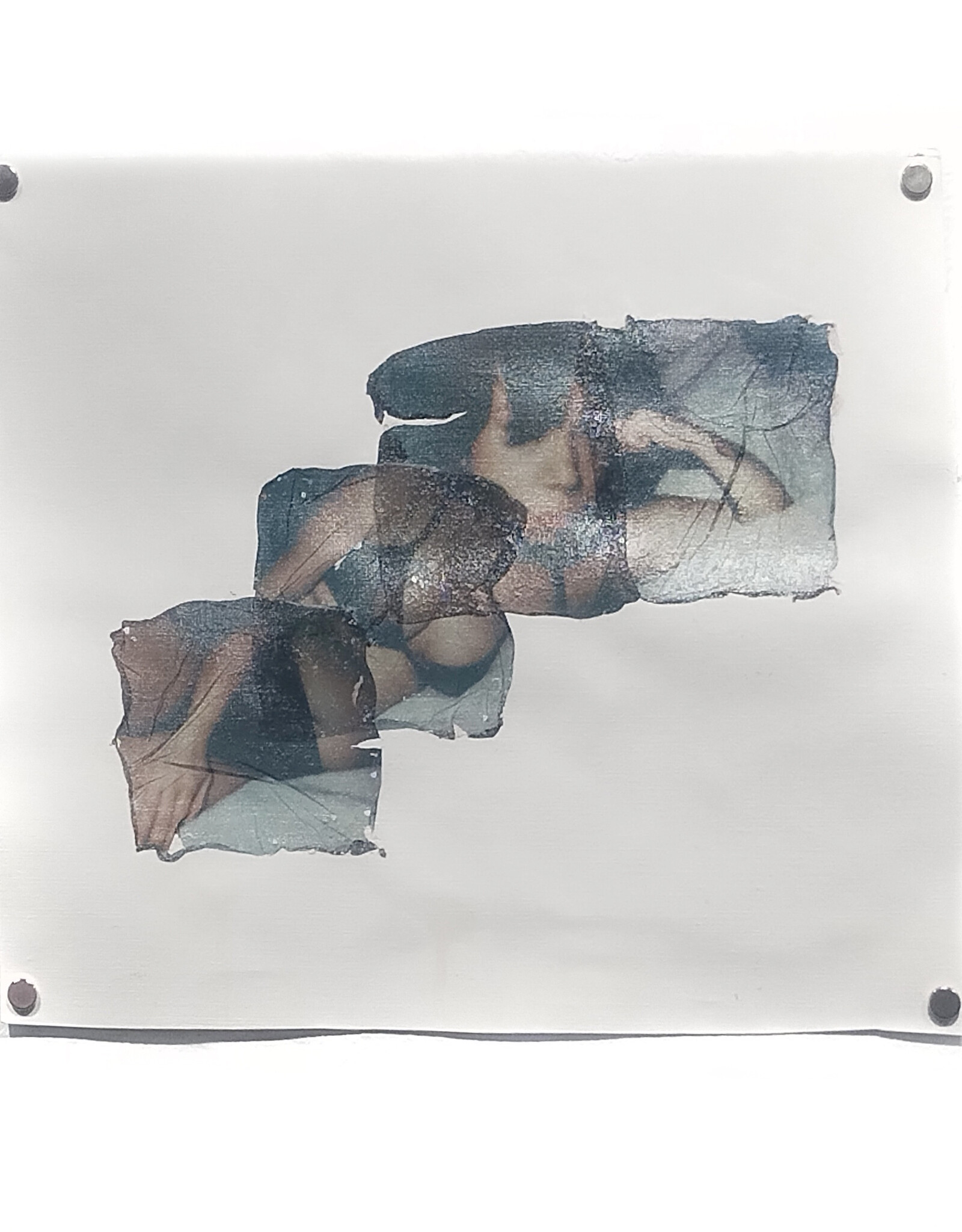 "Emulsion Lift 2" by Amelia Baird