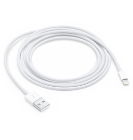 APPLE Câble Lightning vers USB - 6 Pieds (2 m)