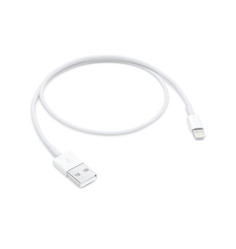APPLE Câble Lightning vers USB (0,5 m)