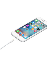APPLE Câble Lightning vers USB - 6 Pieds (2 m)