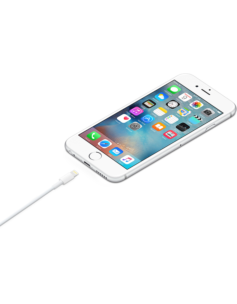 APPLE Câble Lightning vers USB - 6 Pieds (2 m)