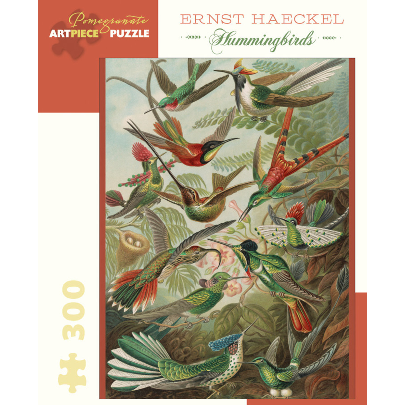 Pomegranate Hummingbirds by Ernst Haeckel, 300-Piece Jigsaw Puzzle