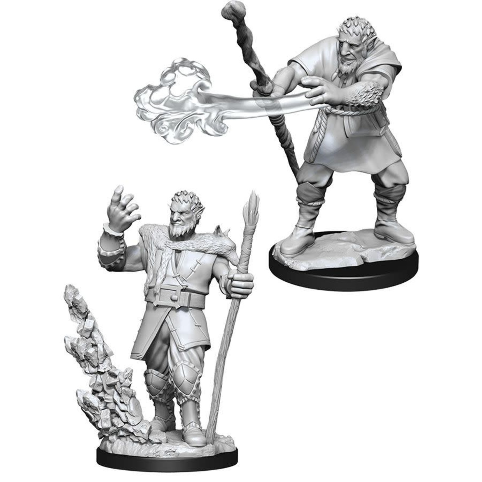 WizKids D&D Minis: Firbolg Druid, Male (Wave 11 90013)