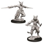 WizKids D&D Minis (unpainted): Tabaxi Rogue (female) Wave 9, 73708