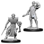 WizKids D&D Minis: Human Warlock, Male (Wave 10 73836)