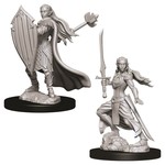 WizKids D&D Minis: Elf Paladin, Female (Wave 9 73706)