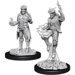 WizKids D&D Minis: Tiefling Sorcerer, Male (Wave 12 90058)