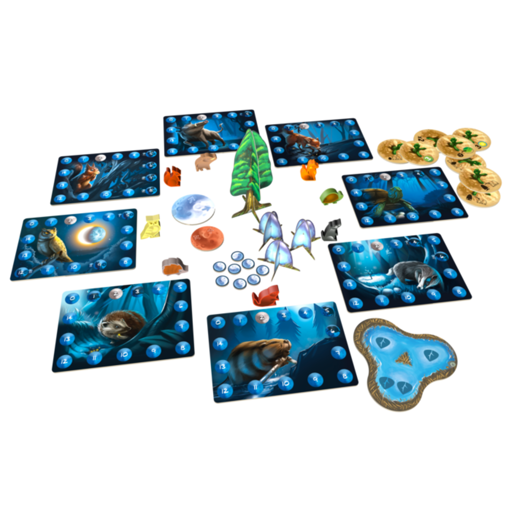 Photosynthesis Under The Moonlight Labyrinth Games Puzzles