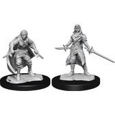 Merisiel Female Elf Rogue Beginner Box Hero – Dungeons & Dragons D&D Miniature