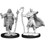 WizKids D&D Minis: Human Druid, Male (Wave 14 90221)