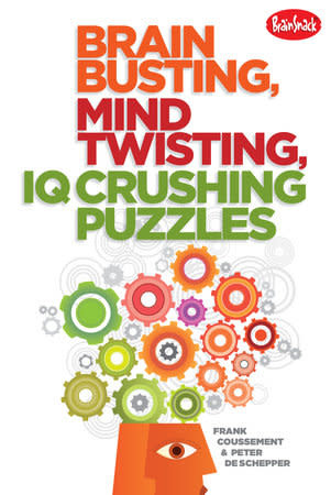 puzzlebookcover