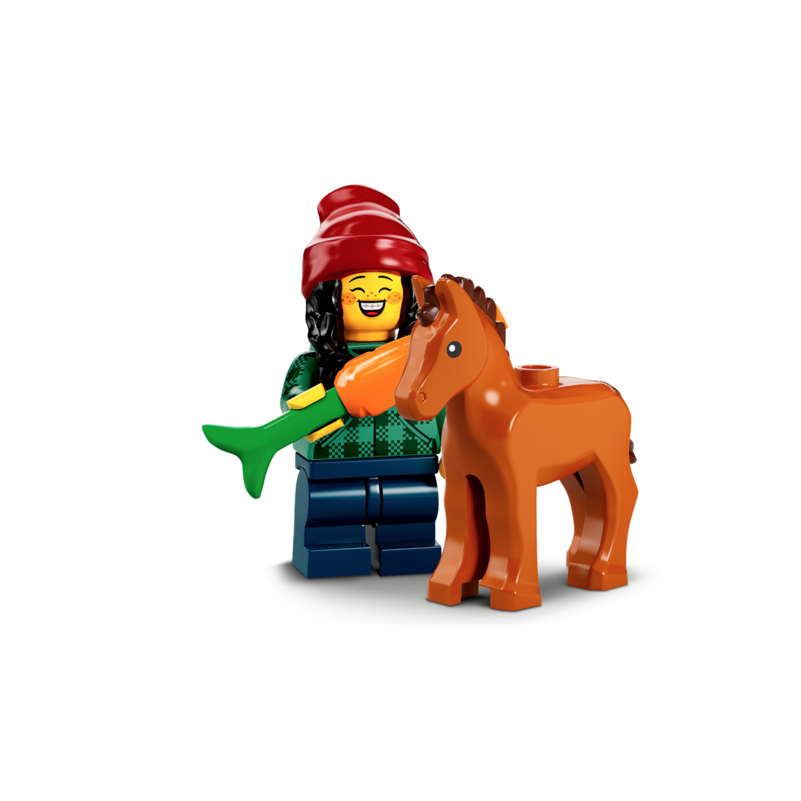 LEGO LEGO Minifigures (Series 22)