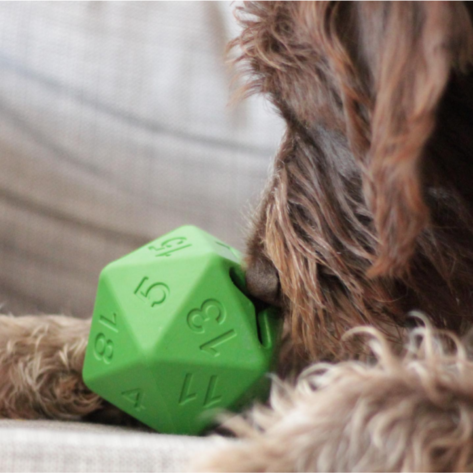 Paw-lymorph Pet Toys D20 Dog Toy (Poison Green)