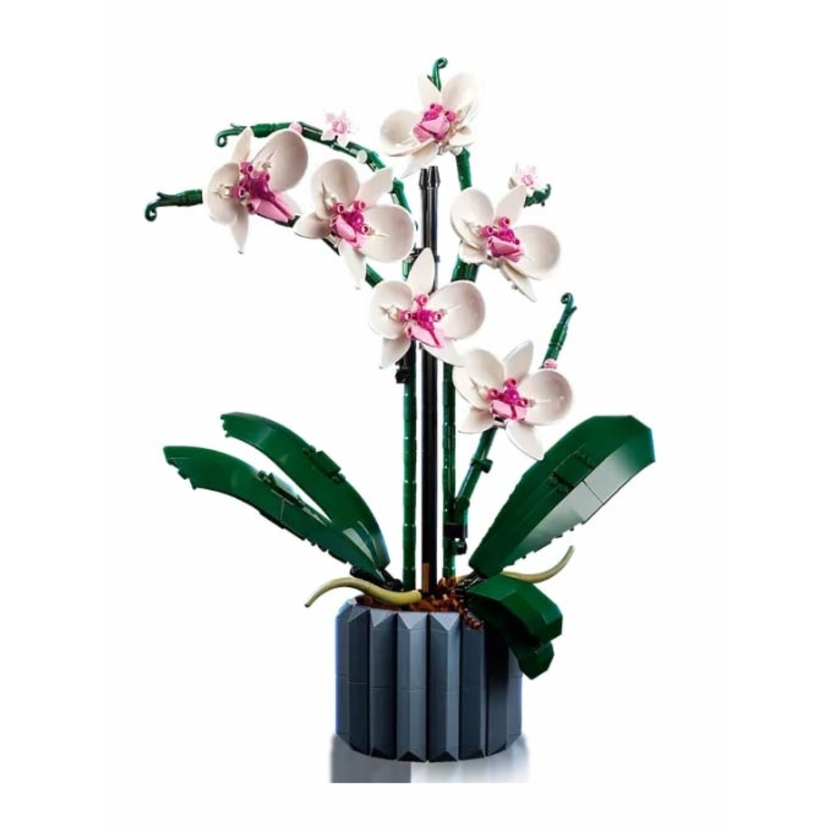 LEGO LEGO Botanical Collection, Orchid
