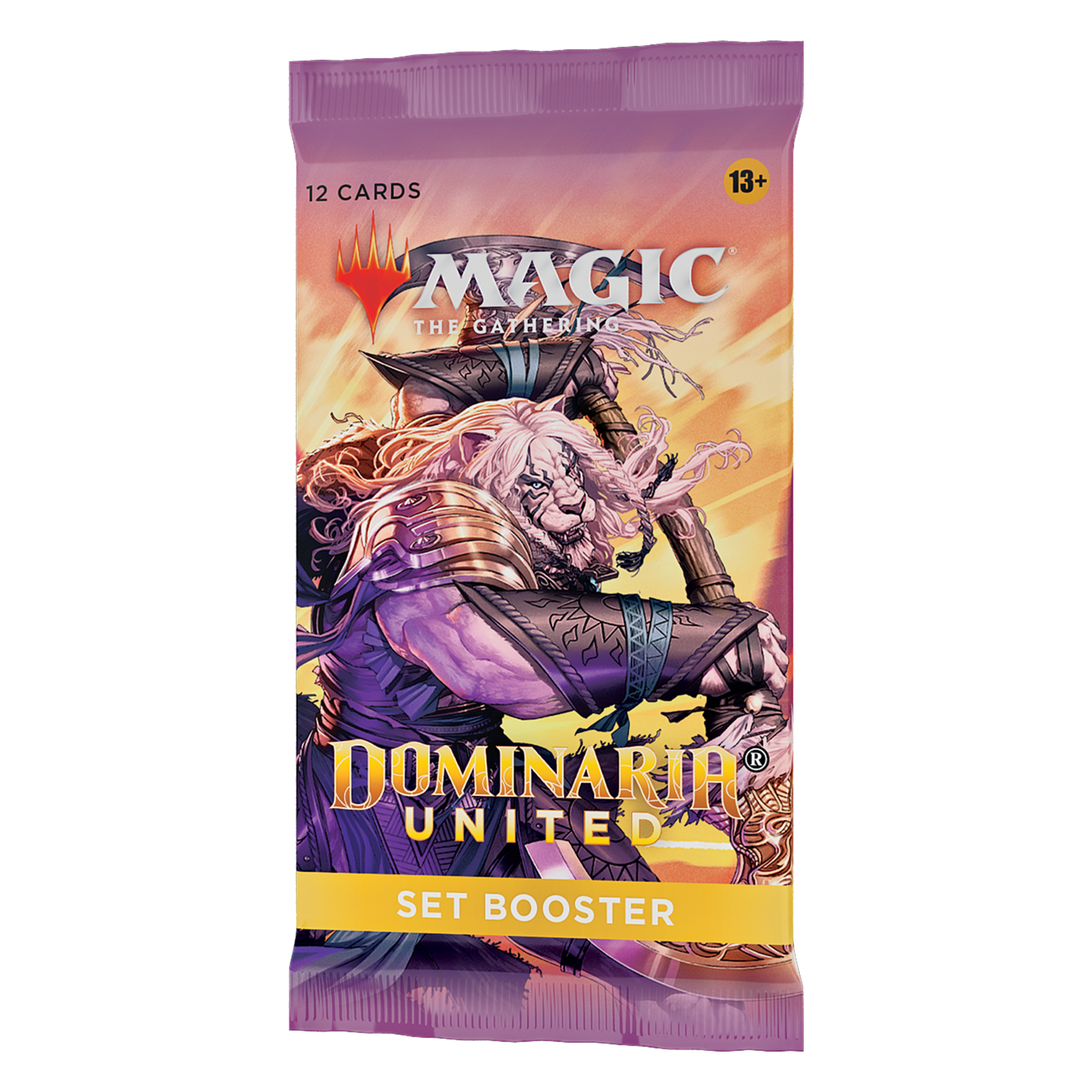 Magic: The Gathering Magic: The Gathering – Dominaria United Set Booster  Pack