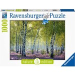 Ravensburger Birch Forest, 1000-Piece Jigsaw Puzzle