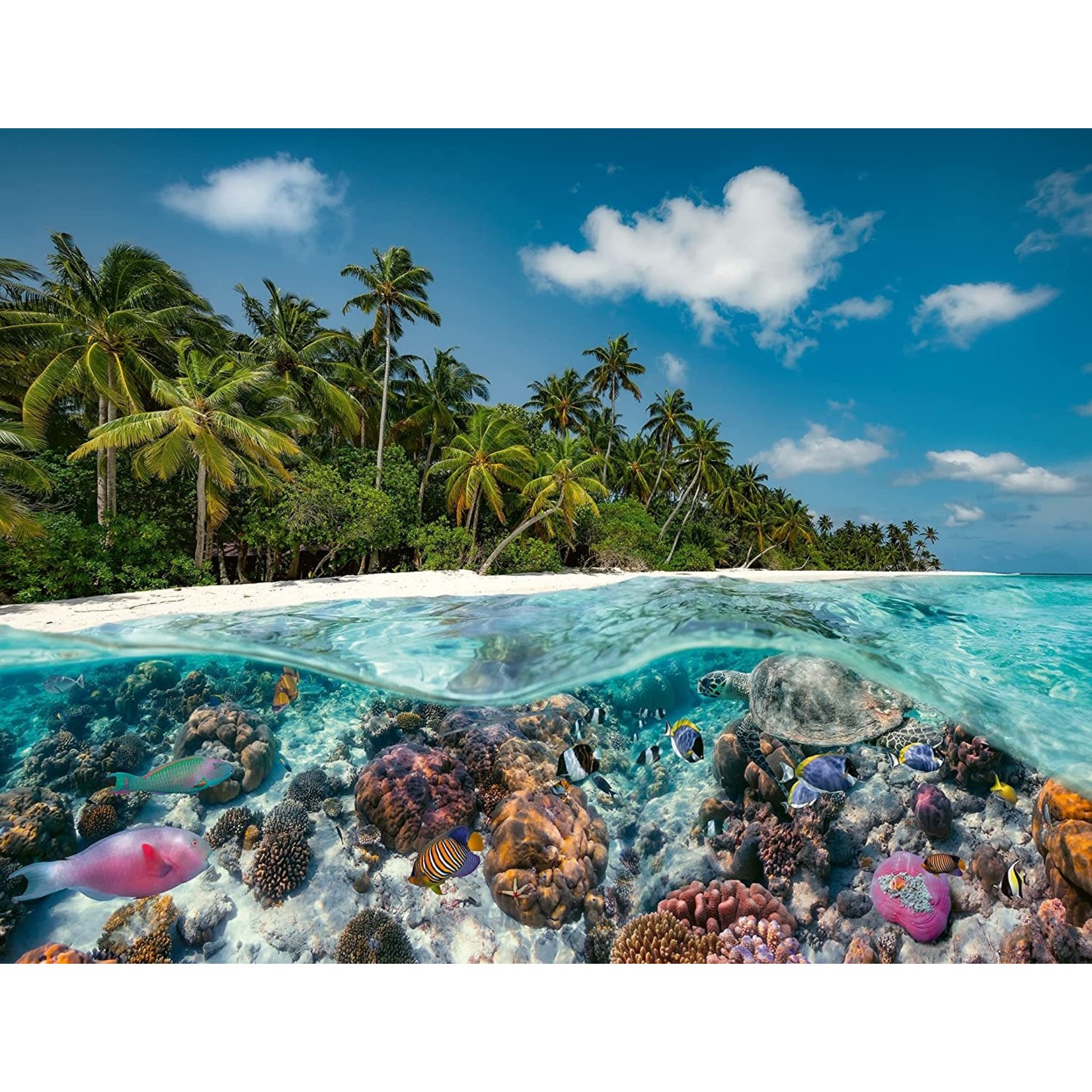 Ravensburger A Dive in the Maldives, 2000-Piece Jigsaw Puzzle