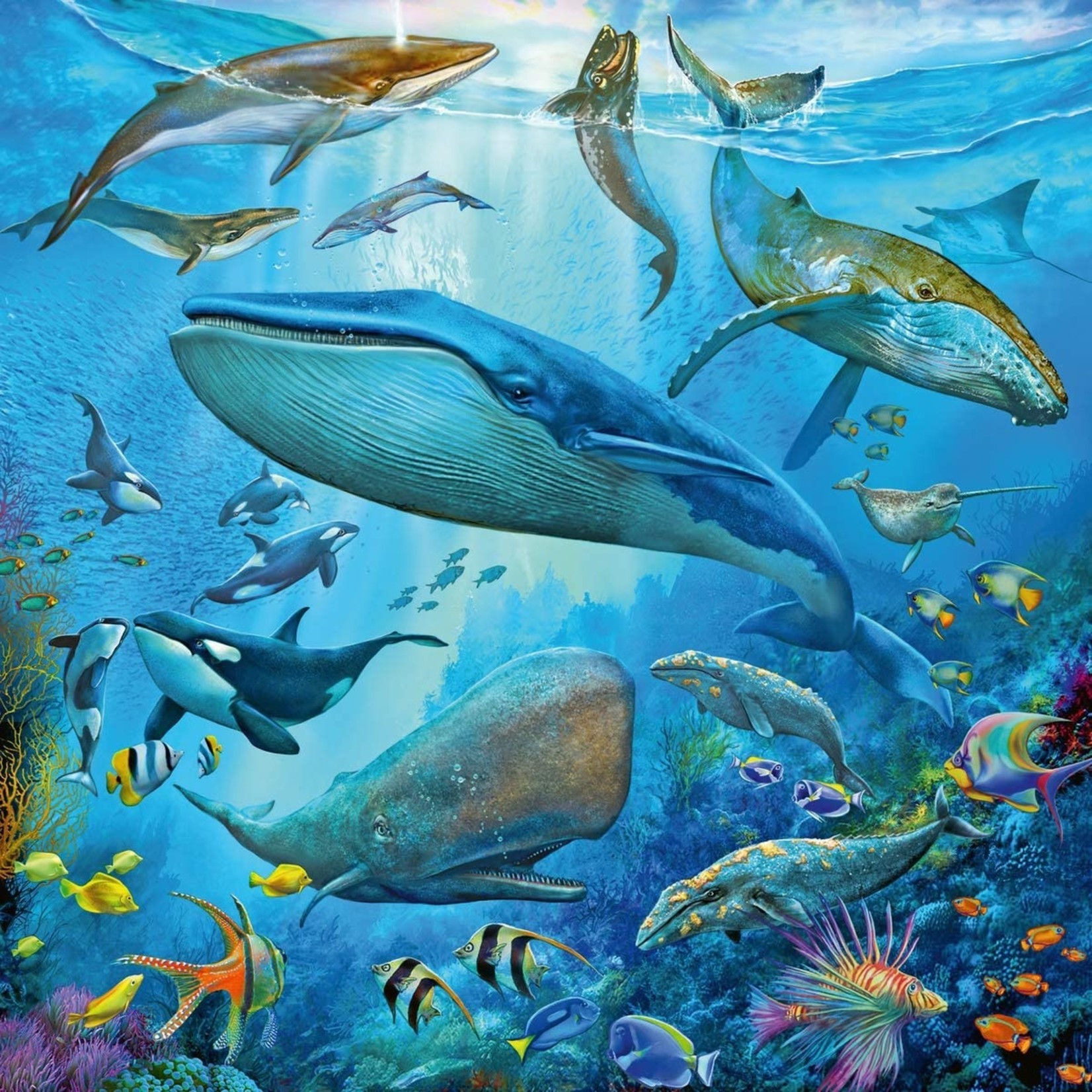 Ocean Life, 49-Piece Jigsaw Puzzles (Set of 3) - Labyrinth Games