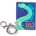 Project Genius Moray Eel Puzzle Box
