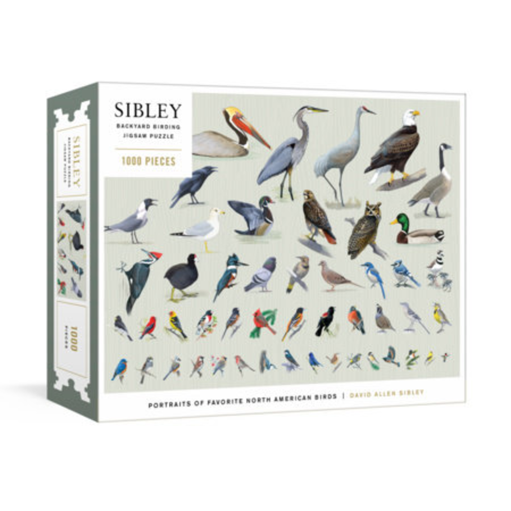 David Allen Sibley Sibley Backyard Birding, 1000-Piece Jigsaw Puzzle