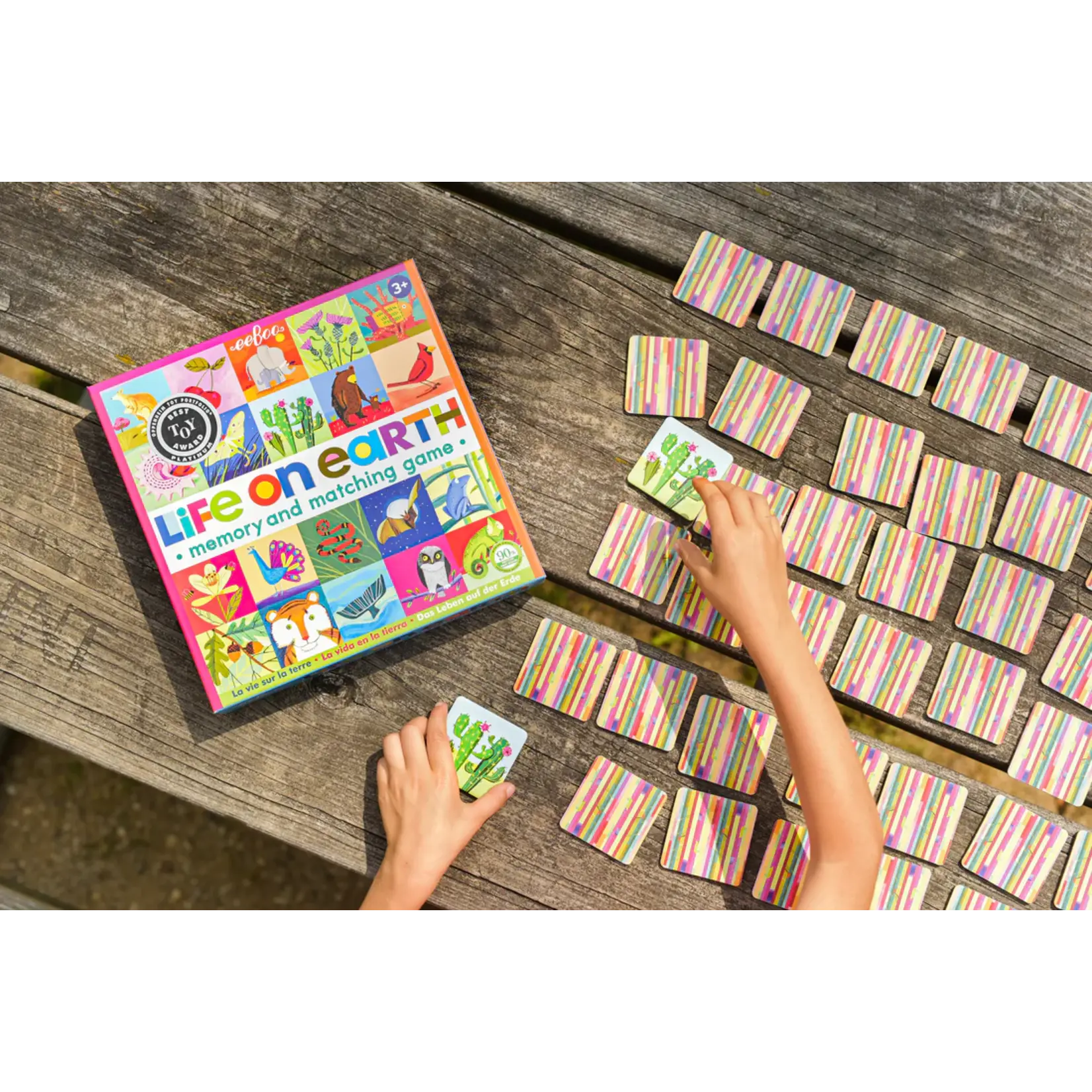 Eeboo Life on Earth: Memory and Matching Game